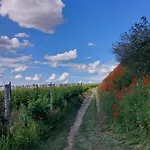 Pensión Gaestehaus Weingut Mangel