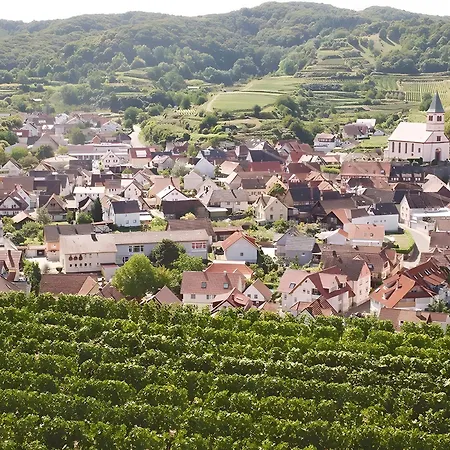 בית הארחה Gaestehaus Weingut Mangel