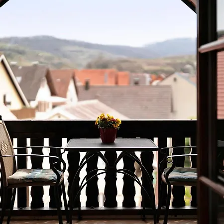 Гостевой дом Gaestehaus Weingut Mangel Endingen am Kaiserstuhl
