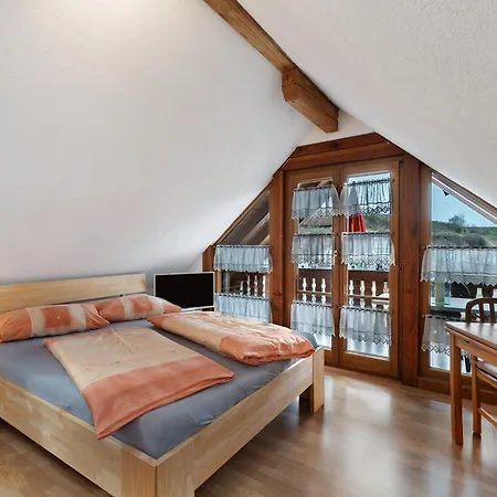 Гостевой дом Gaestehaus Weingut Mangel Endingen am Kaiserstuhl