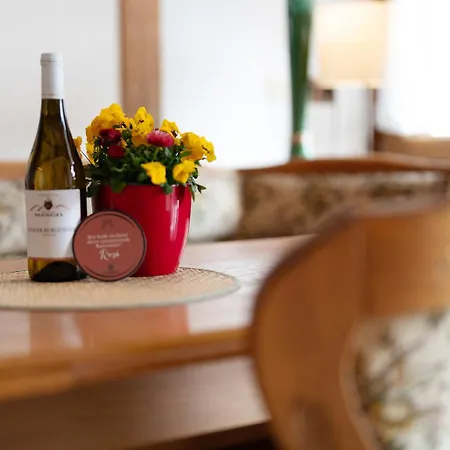 Гостевой дом Gaestehaus Weingut Mangel Endingen am Kaiserstuhl