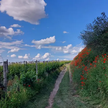 Pensionat Gaestehaus Weingut Mangel