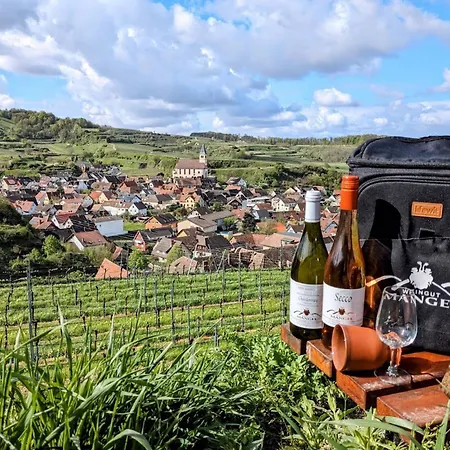 Pensión Gaestehaus Weingut Mangel Endingen am Kaiserstuhl