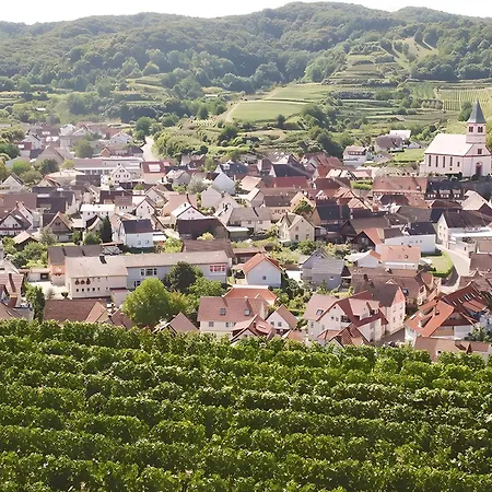 Gaestehaus Weingut Mangel 3*